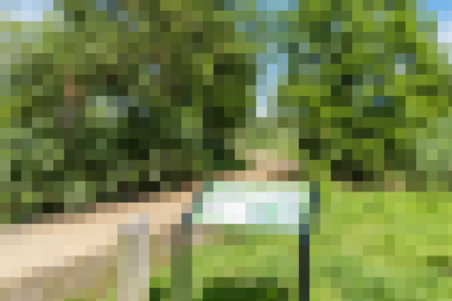 Wulverhorst 36 Montfoort thumbnail 37