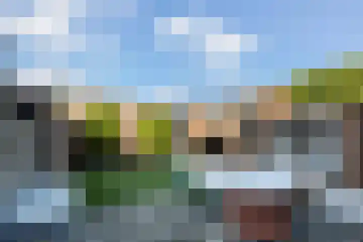 Wulverhorst 87 Montfoort thumbnail 12