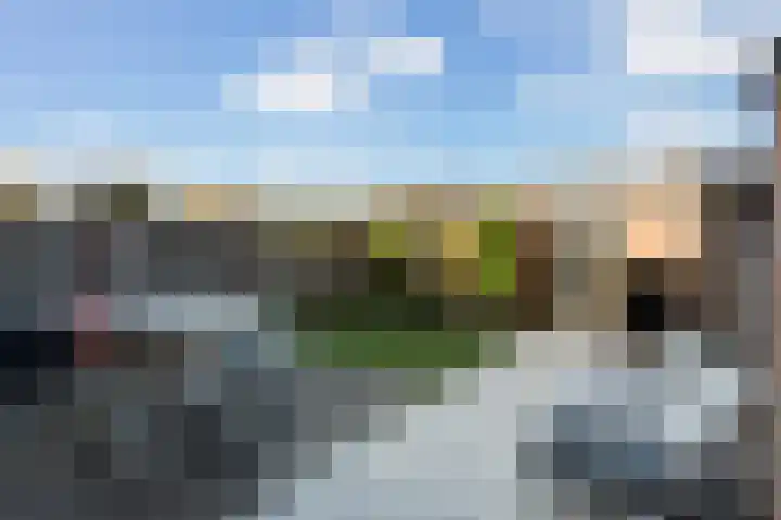 Wulverhorst 87 Montfoort thumbnail 13