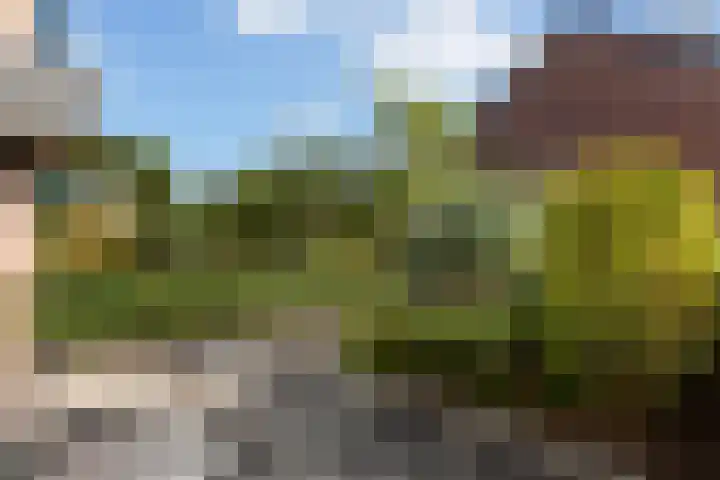 Wulverhorst 87 Montfoort thumbnail 14