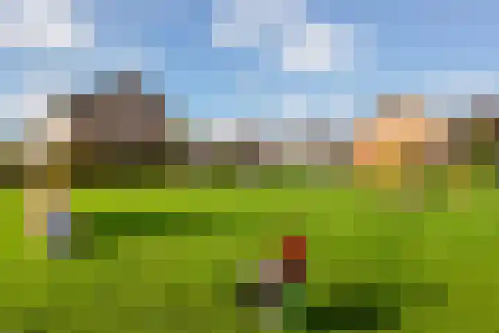 Wulverhorst 87 Montfoort thumbnail 31