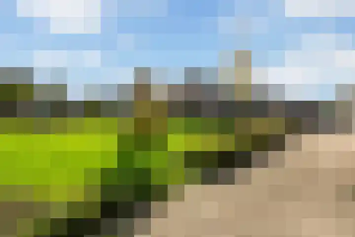 Wulverhorst 87 Montfoort thumbnail 32