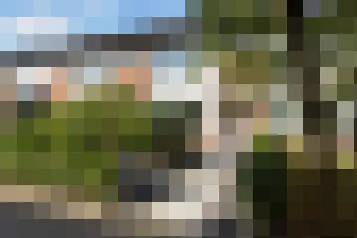 Wulverhorst 87 Montfoort thumbnail 34
