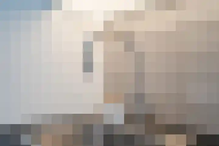 Wulverhorstlaan 19 Utrecht thumbnail 10
