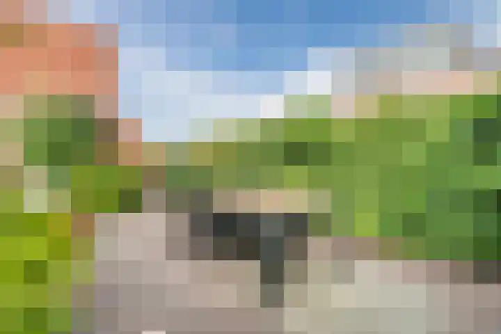 Wulverhorstlaan 19 Utrecht thumbnail 13