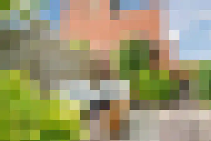 Wulverhorstlaan 19 Utrecht thumbnail 15