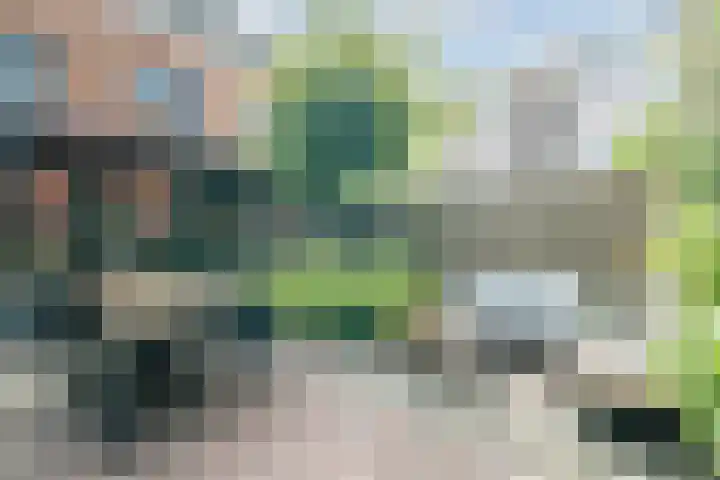 Wulverhorstlaan 19 Utrecht thumbnail 18