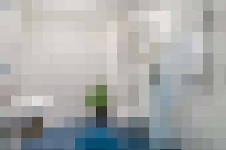 Wulverhorstlaan 19 Utrecht thumbnail 27