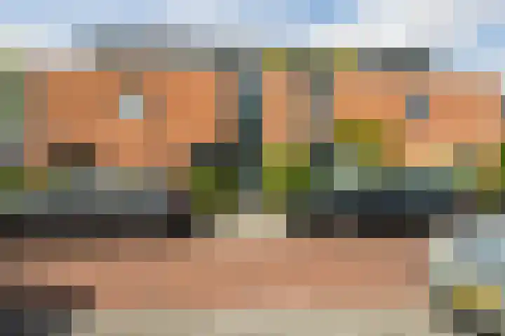 Wulverhorstlaan 19 Utrecht thumbnail 46