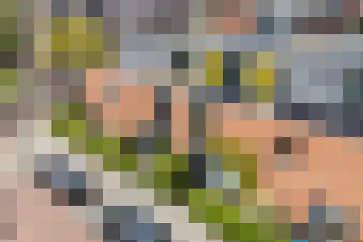Wulverhorstlaan 19 Utrecht thumbnail 49