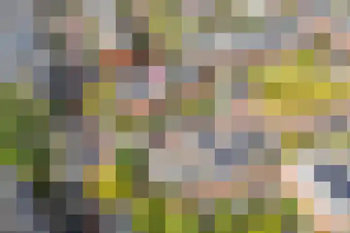 Wulverhorstlaan 19 Utrecht thumbnail 50
