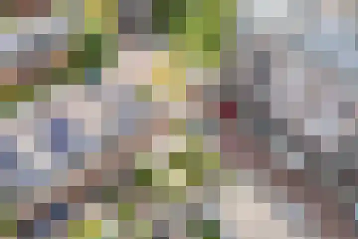 Wulverhorstlaan 19 Utrecht thumbnail 51