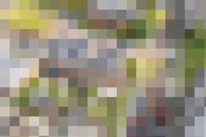 Wulverhorstlaan 19 Utrecht thumbnail 52
