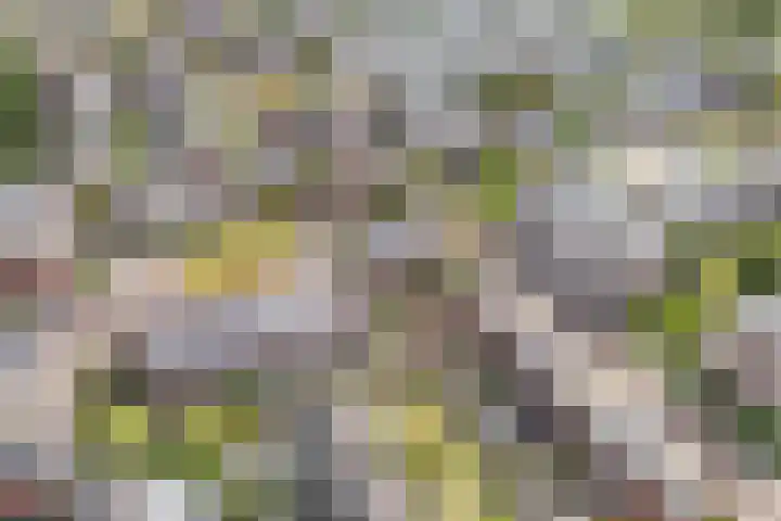 Wulverhorstlaan 19 Utrecht thumbnail 54