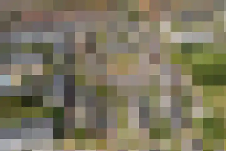 Wulverhorstlaan 19 Utrecht thumbnail 55