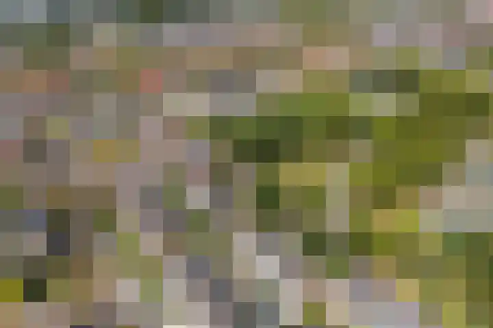 Wulverhorstlaan 19 Utrecht thumbnail 56
