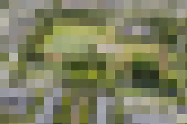 Wulverhorstlaan 19 Utrecht thumbnail 57