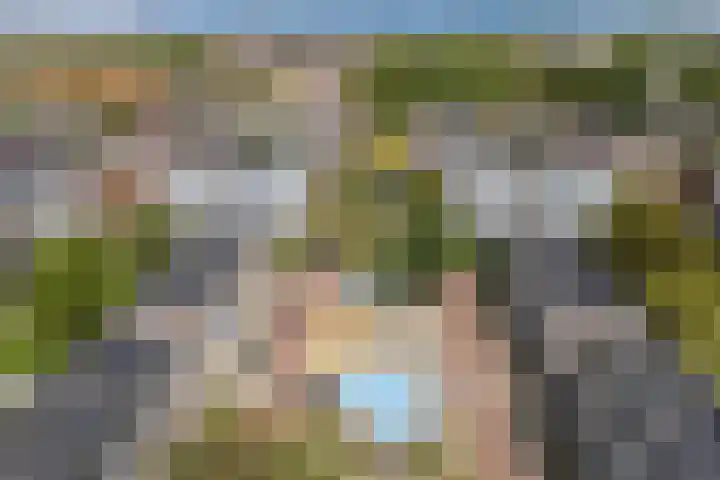 Wulverhorstlaan 19 Utrecht thumbnail 59