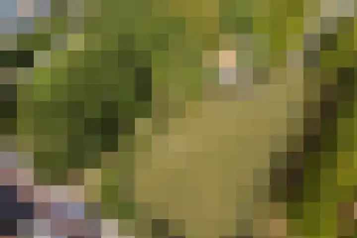 Wulverhorstlaan 19 Utrecht thumbnail 60
