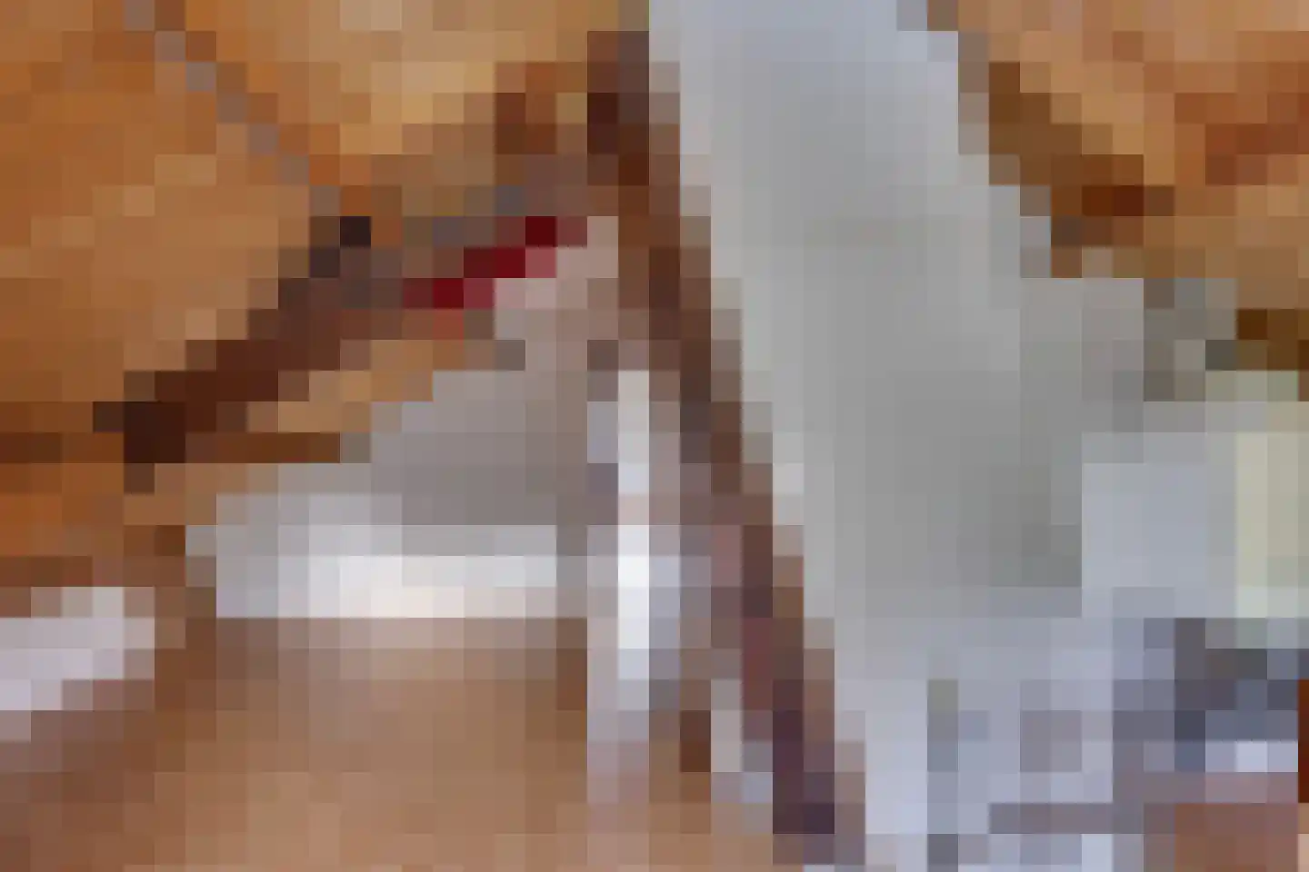 Wunderinklaan 10 Eefde thumbnail 22