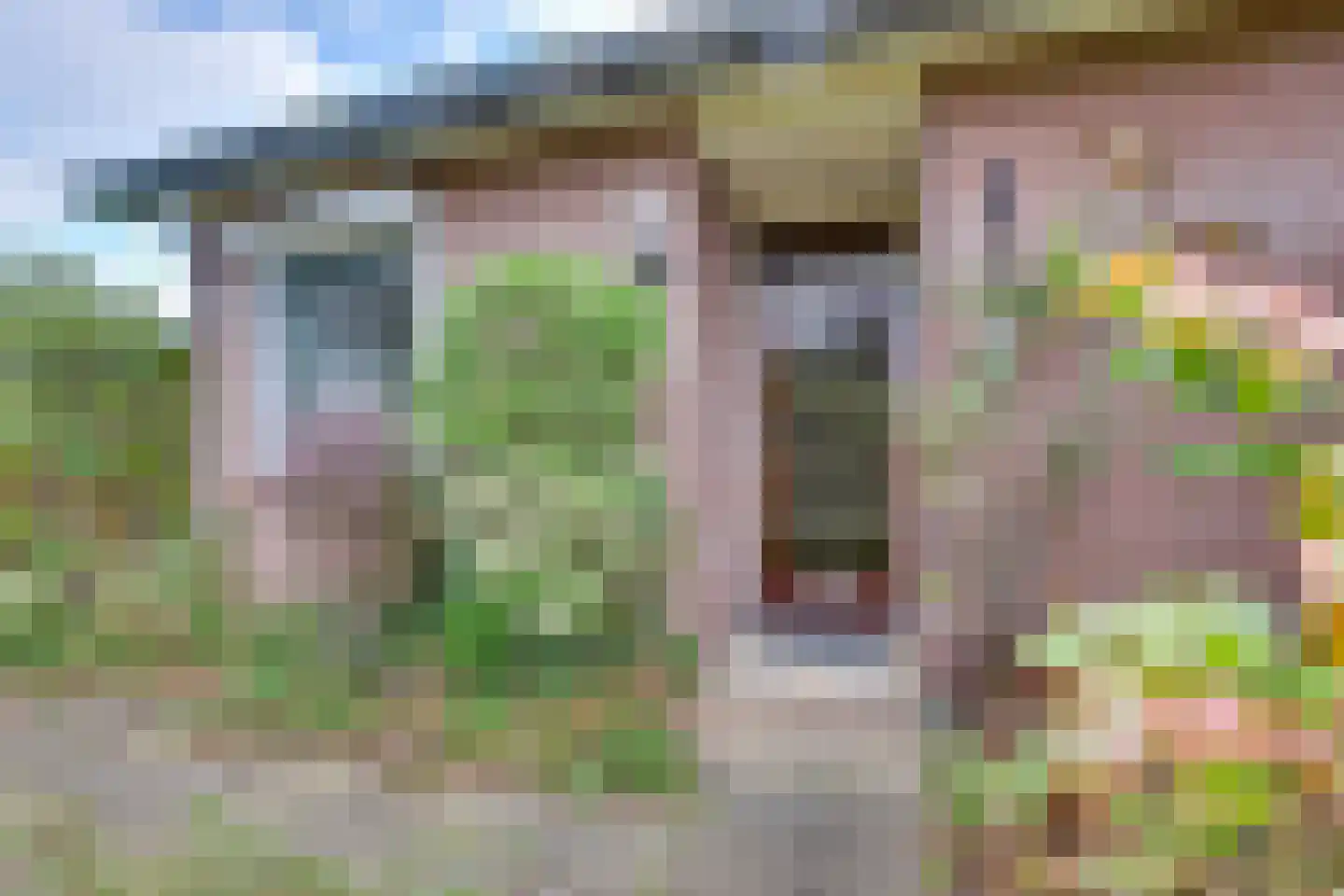 Wunderinklaan 10 Eefde thumbnail 40