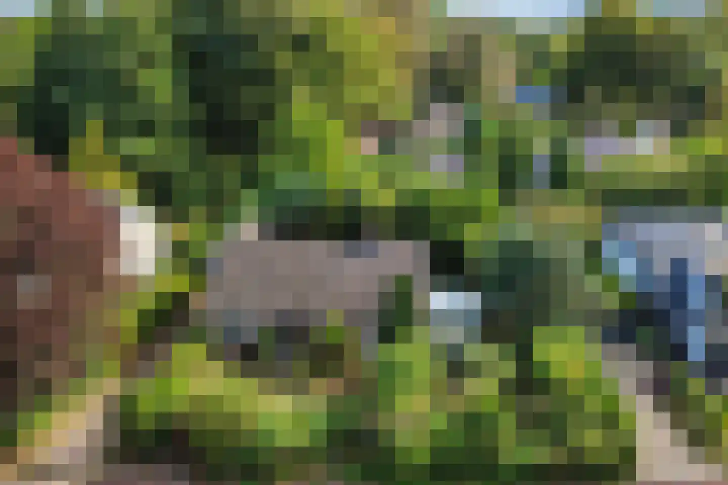 Wunderinklaan 10 Eefde thumbnail 46