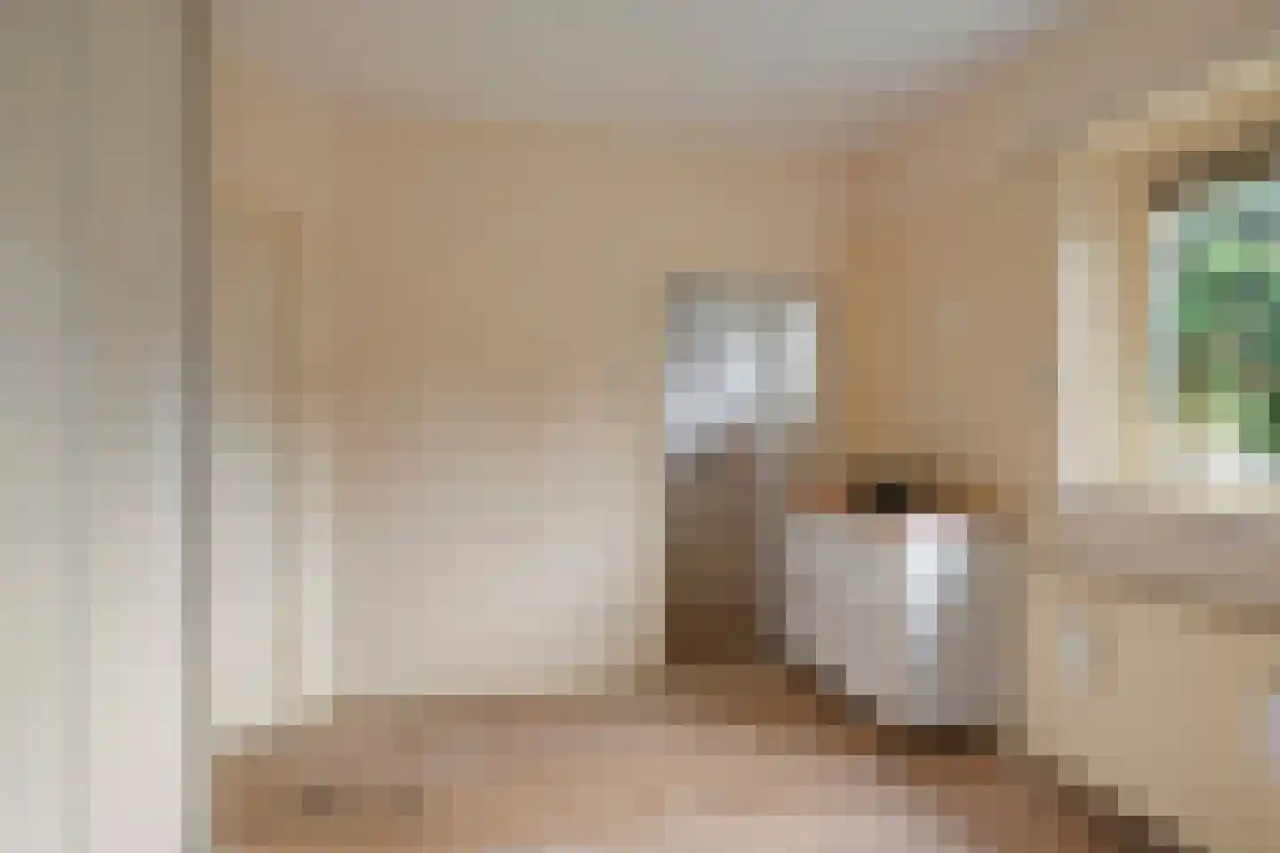 Wunderinklaan 4 Eefde thumbnail 14