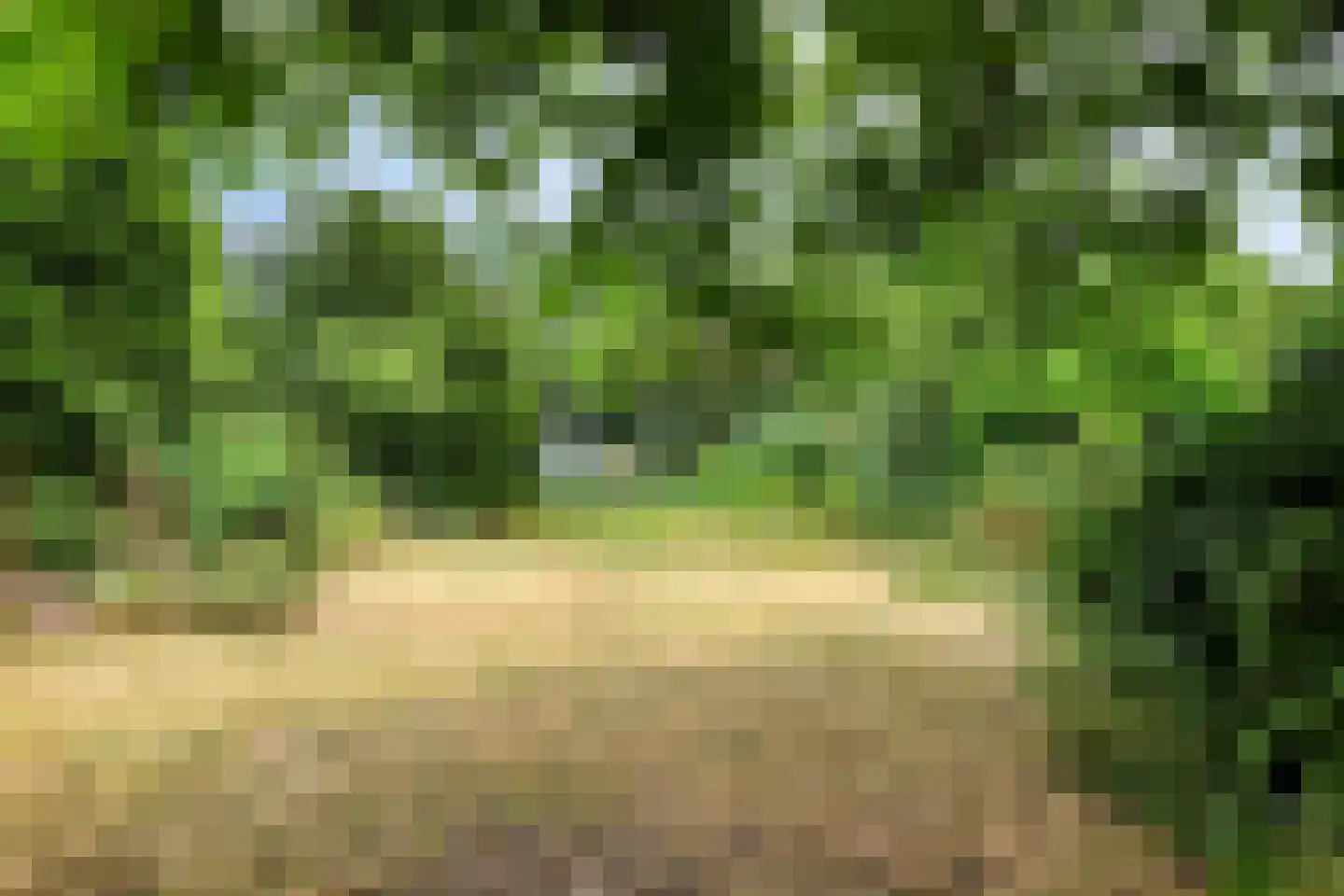 Wunderinklaan 4 Eefde thumbnail 23