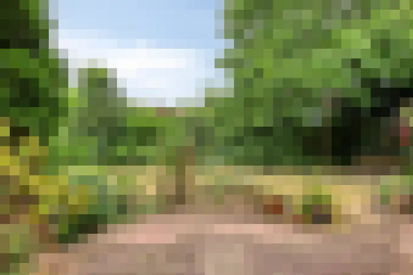 Wunderinklaan 4 Eefde thumbnail 24