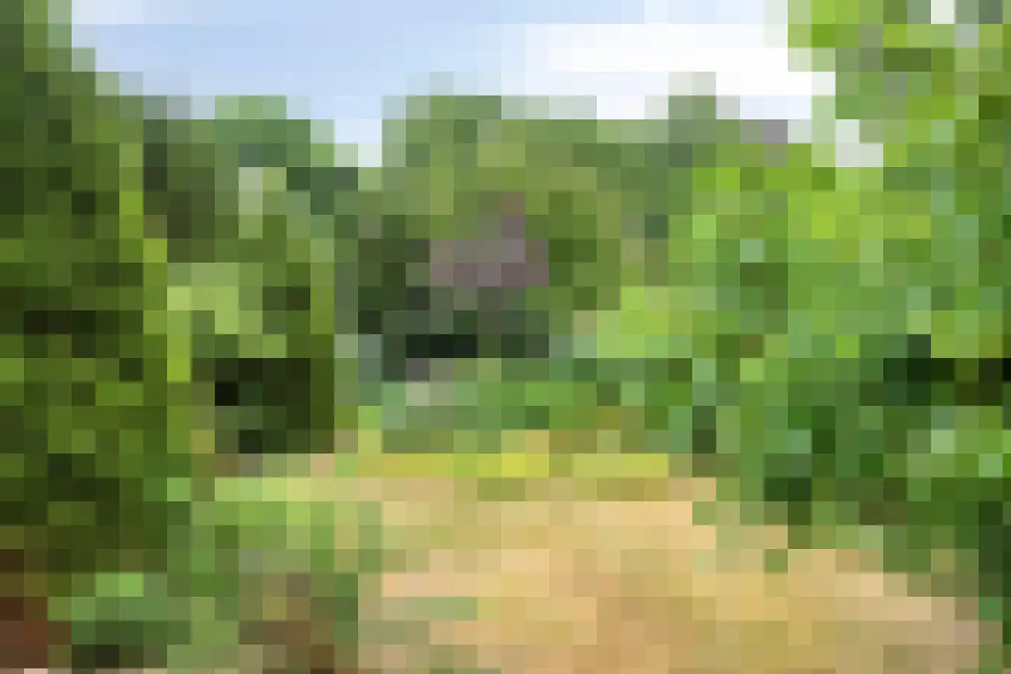 Wunderinklaan 4 Eefde thumbnail 25