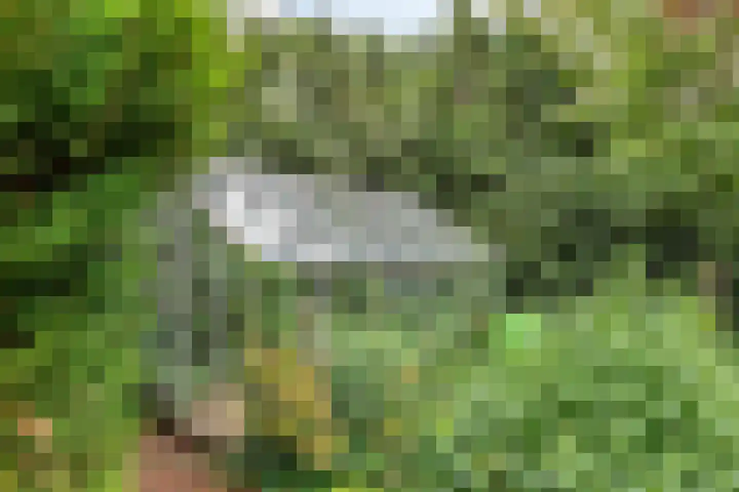 Wunderinklaan 4 Eefde thumbnail 26