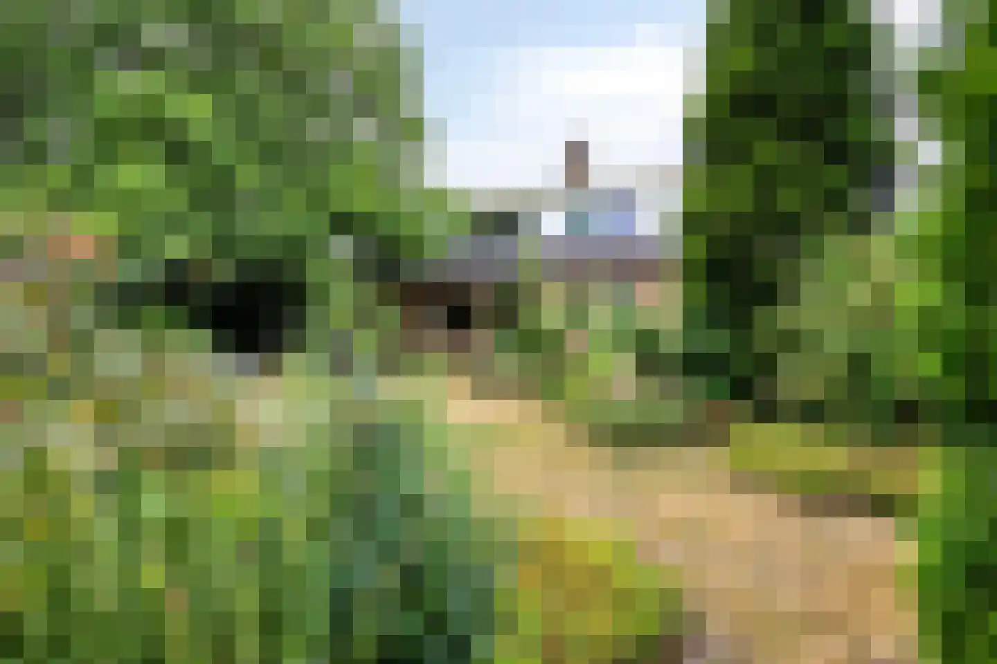 Wunderinklaan 4 Eefde thumbnail 27