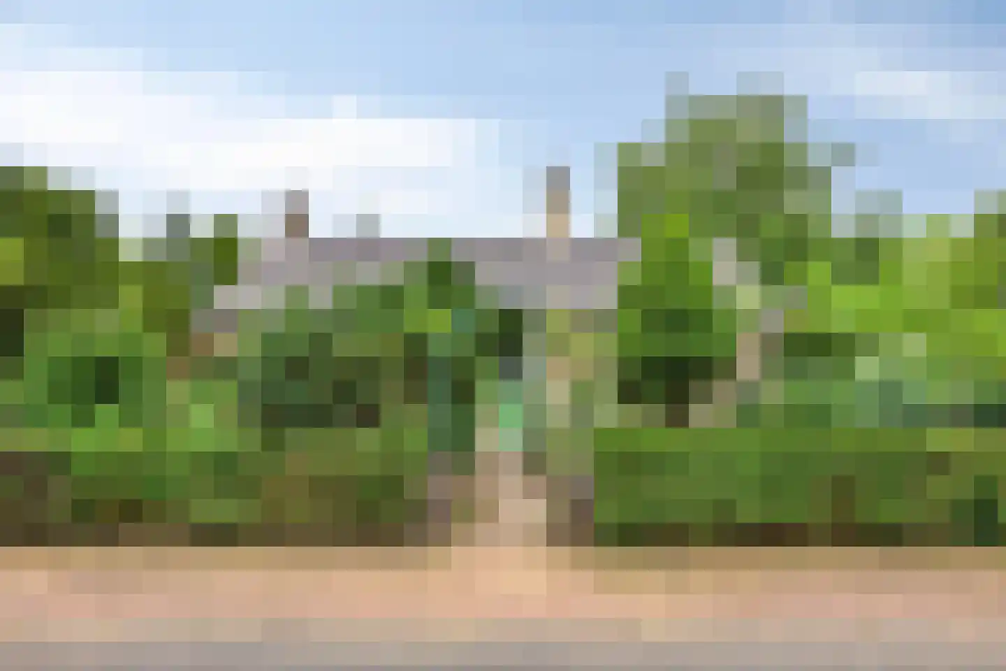 Wunderinklaan 4 Eefde thumbnail 31