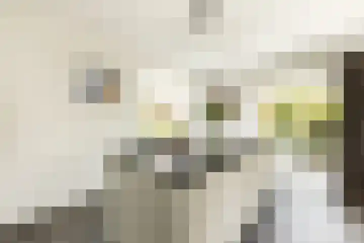 Wûnsstelling 23 Makkum thumbnail 10