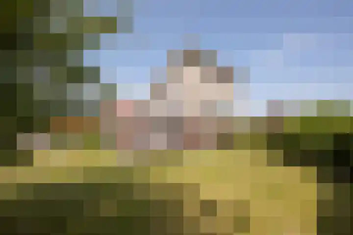 Wûnsstelling 23 Makkum thumbnail 15
