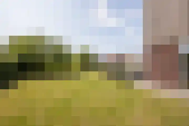 Wûnsstelling 23 Makkum thumbnail 17