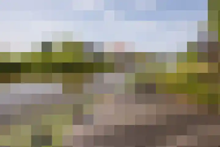 Wûnsstelling 23 Makkum thumbnail 18