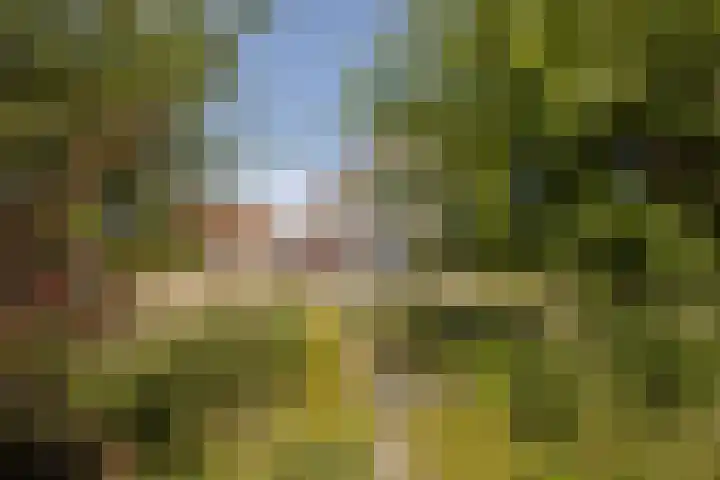 Wûnsstelling 23 Makkum thumbnail 19