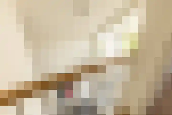 Wûnsstelling 23 Makkum thumbnail 22