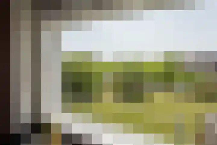 Wûnsstelling 23 Makkum thumbnail 25