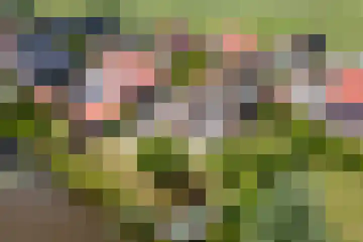 Wûnsstelling 23 Makkum thumbnail 30