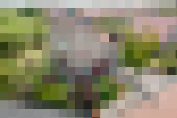 Wûnsstelling 23 Makkum thumbnail 31