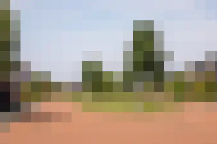 Wûnsstelling 23 Makkum thumbnail 32