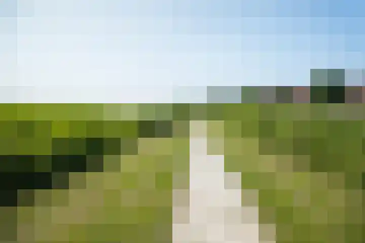 Wûnsstelling 23 Makkum thumbnail 33