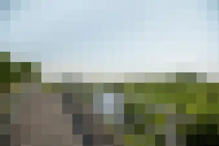 Wûnsstelling 23 Makkum thumbnail 34