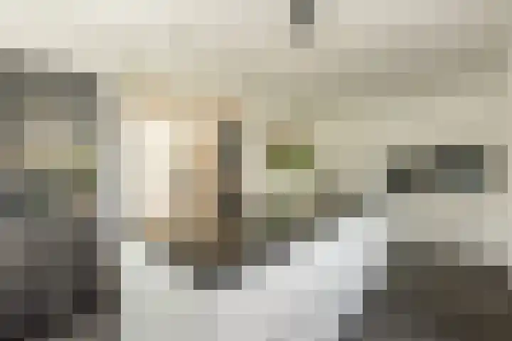 Wûnsstelling 23 Makkum thumbnail 4
