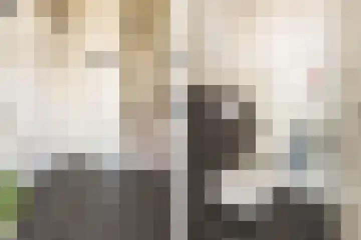 Wûnsstelling 23 Makkum thumbnail 7