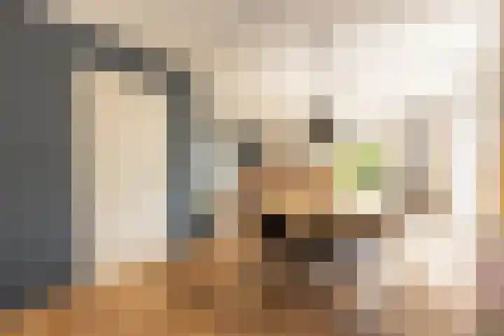 Wûnsstelling 23 Makkum thumbnail 8