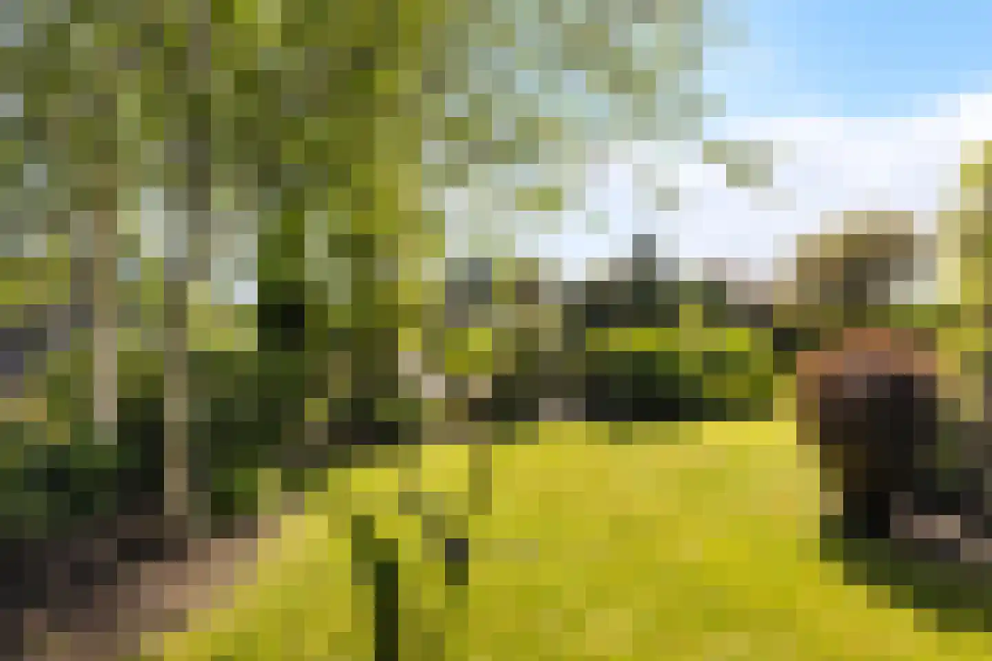 Wûnsstelling 39 Makkum thumbnail 47