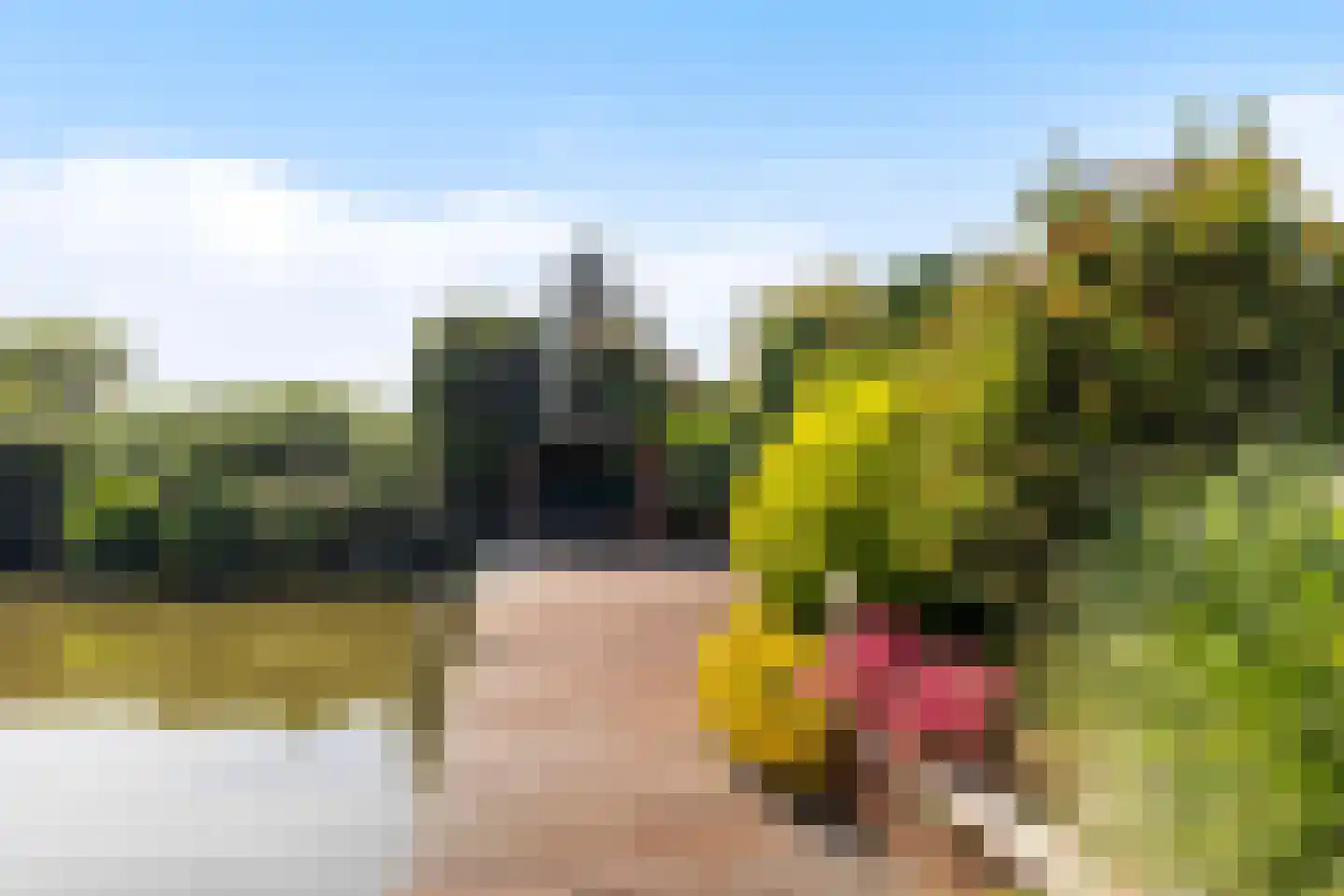 Wûnsstelling 39 Makkum thumbnail 50